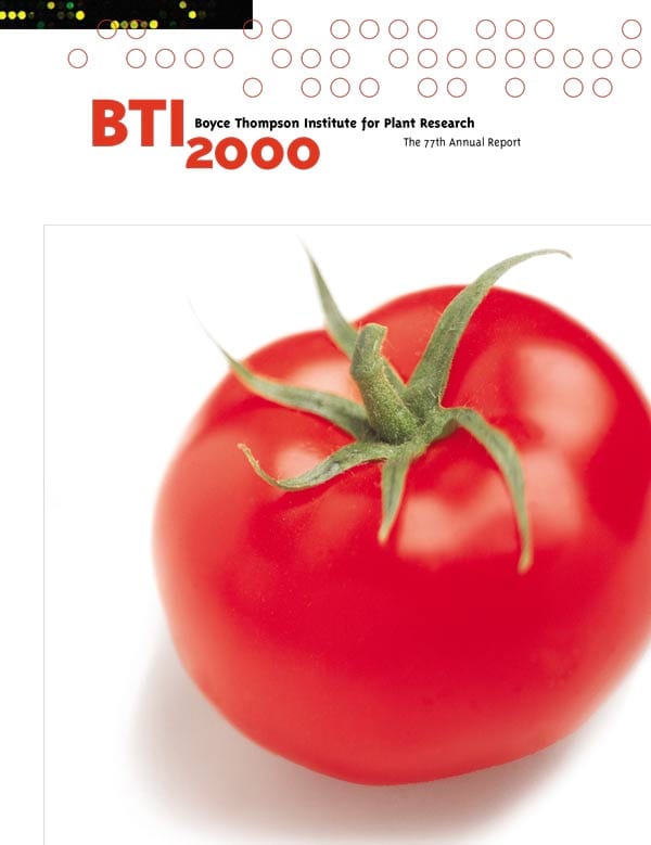 Cover of BTI's 2000 Annual Report