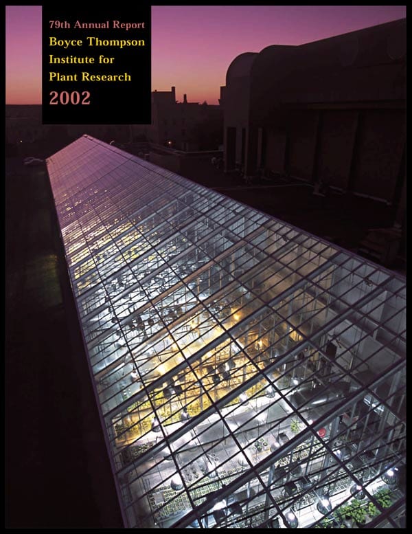 Cover of BTI's 2002 Annual Report