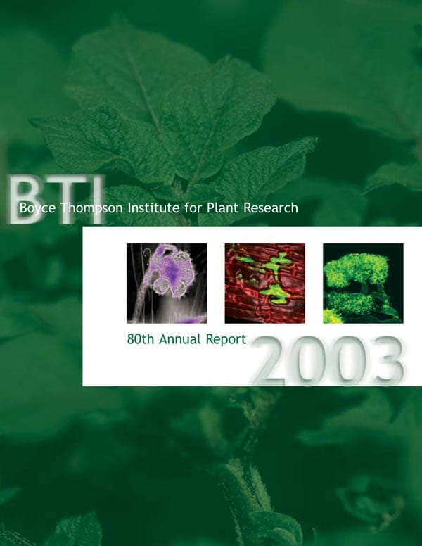 Cover of BTI's 2003 Annual Report