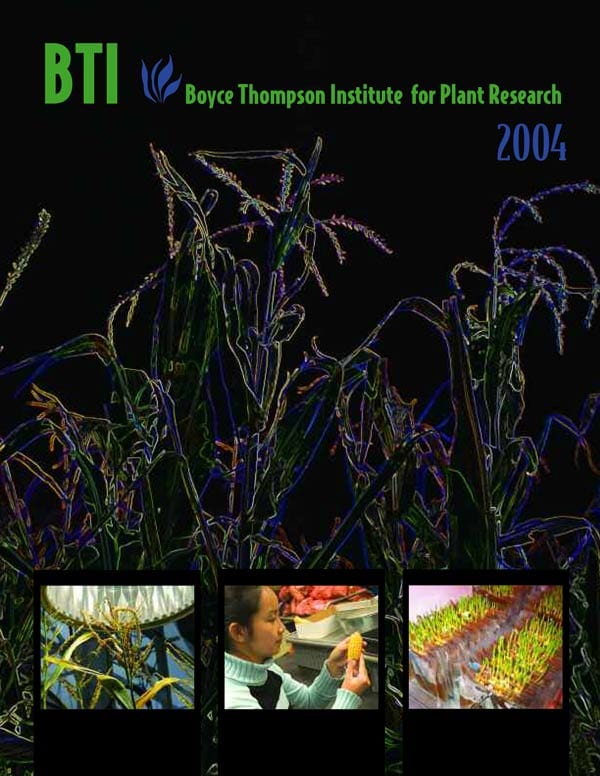 Cover of BTI's 2004 Annual Report