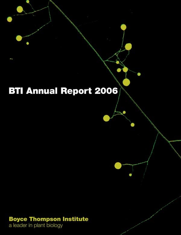 Cover of BTI's 2006 Annual Report