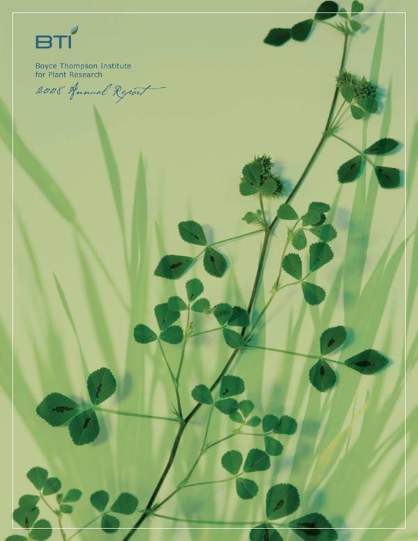 Cover of BTI's 2008 Annual Report