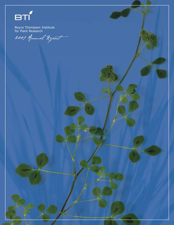 Cover of BTI's 2009 Annual Report