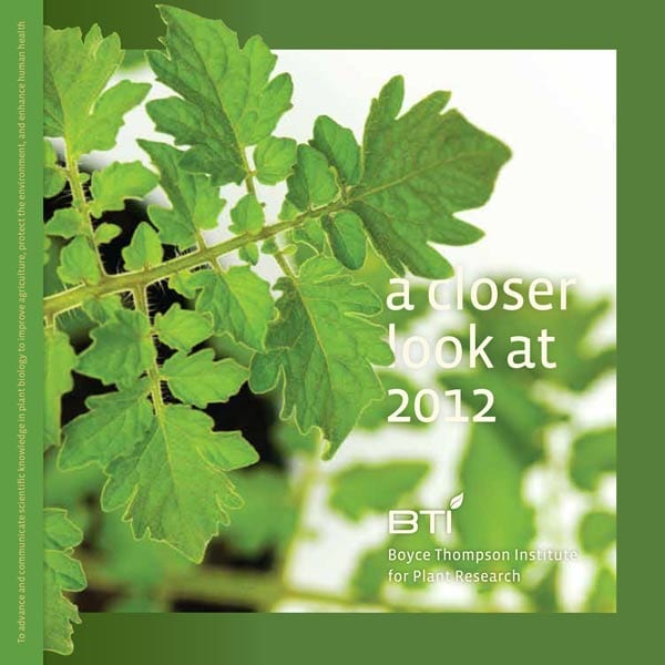 Cover of BTI's 2012 Annual Report