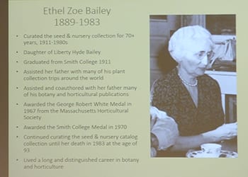 Archivist Ethel Zoe Bailey