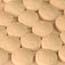Aspirin Targets Key Protein in Neurodegenerative Diseases