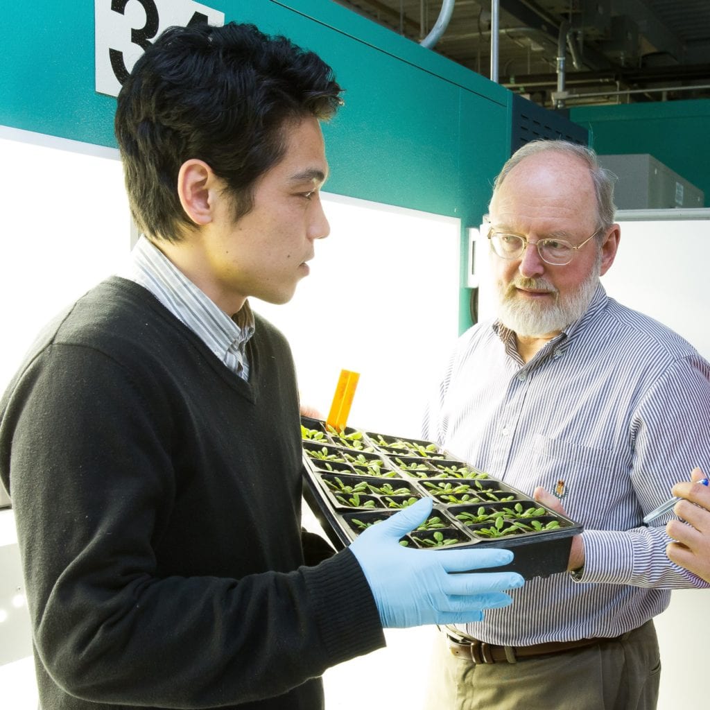 BTI faculty member Dan Klessig (right) and senior research associate Hyong Woo Choi (left) discuss an experiment at Boyce Thompson Institute.