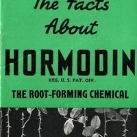 Going Back to BTI’s Roots: A History of Hormodin