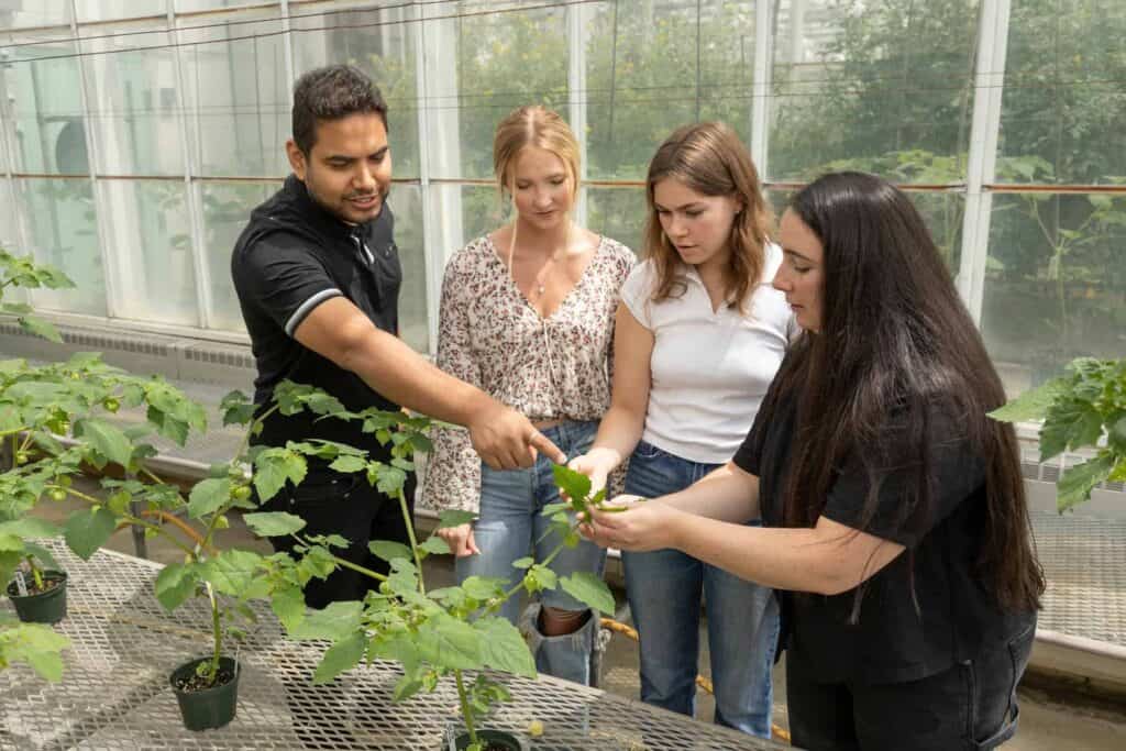 Scientists and students examining plant growth in a greenhouse at Boyce Thompson Institute for plant research and biotechnology.