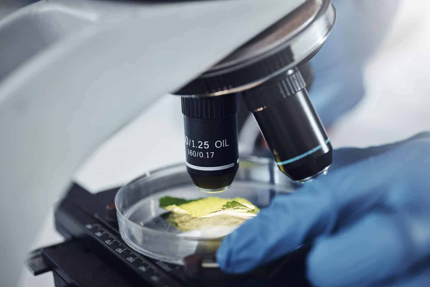 Plant Cell Imaging Center