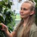 A young woman with long blonde hair examining plants in a greenhouse at Boyce Thompson Institute.