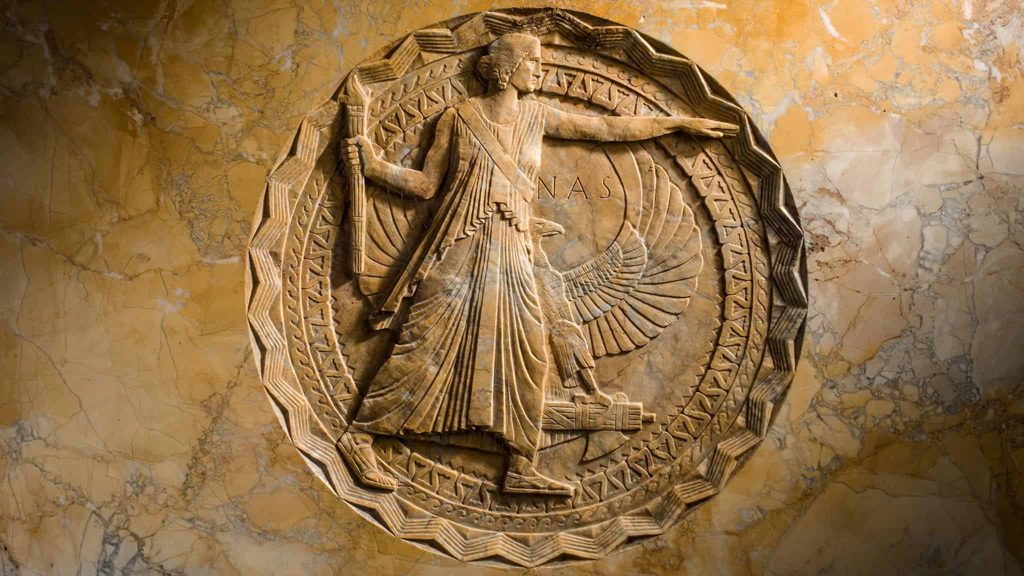 BTI SAB Member Dr. Arthur Grossman Elected to the National Academy of Sciences