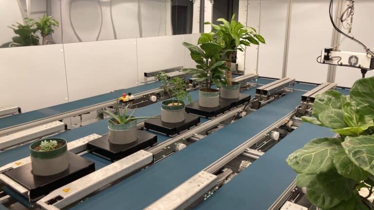 BTI Unveils State-of-the-Art Plant High-Throughput Phenotyping Facility