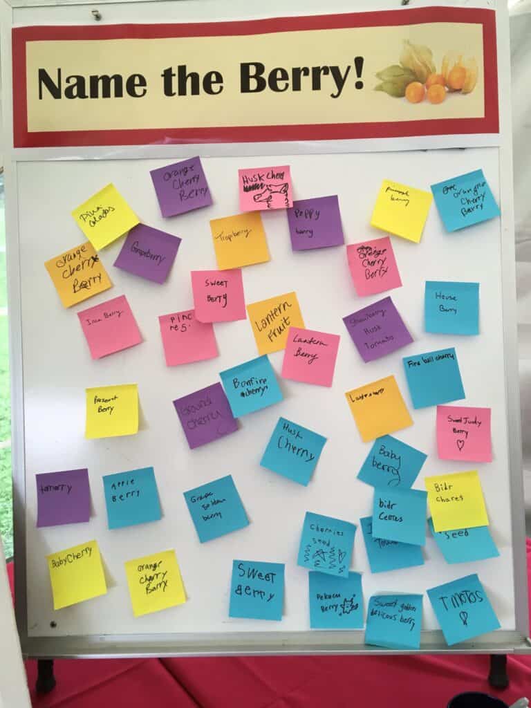 Orange cherry berry, purple grape, and yellow lemon sticky notes at Boyce Thompson Institute on a whiteboard for a berry identification activity, featuring colorful labels and handwriting, engaging students in learning about different berries.