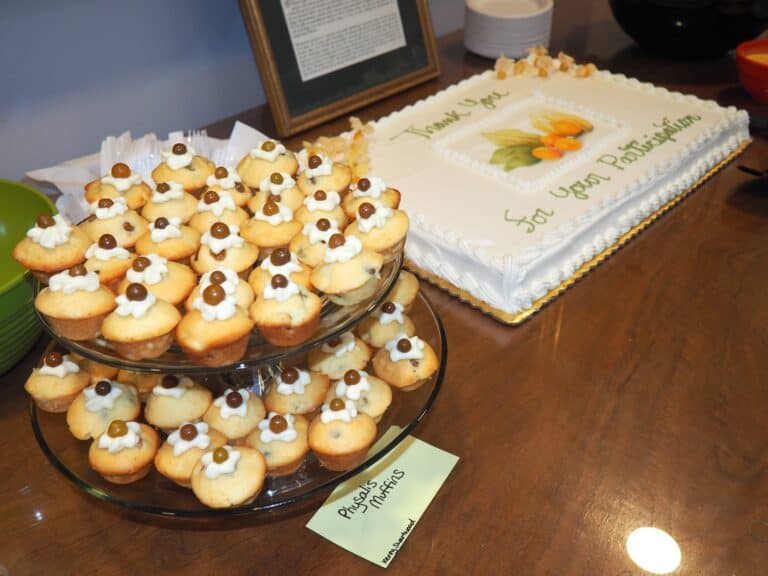 Mini cupcakes with white icing and chocolate candy toppers at Boyce Thompson Institute event, celebrating scientific achievements and community engagement in plant research and botany.