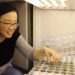 BTI postdoc Shiqi Zhang checks on her Brachypodium distachyon in a growth chamber. Image credit: Boyce Thompson Institute.