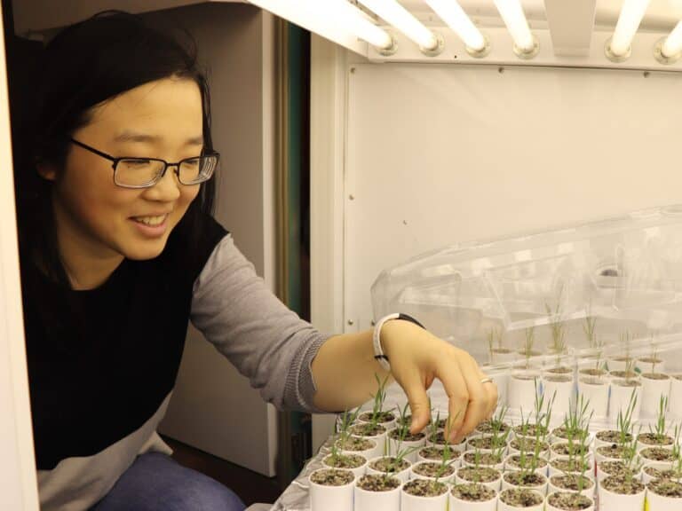 Phosphate biosensors could lead to more efficient fertilizer usage