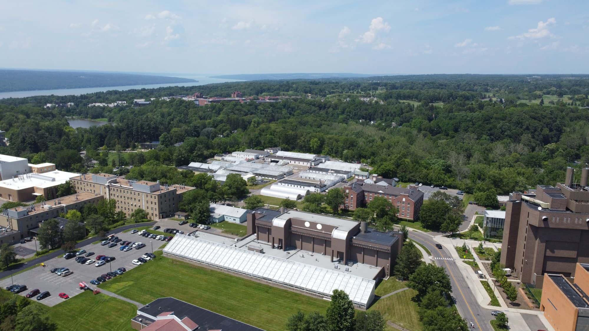 BTI’s Big Red Anniversary: 40 Years at Cornell