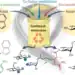 Amino acid metabolism and carbohydrate enzymatic processes illustrated in Boyce Thompson Institute scientific diagram.