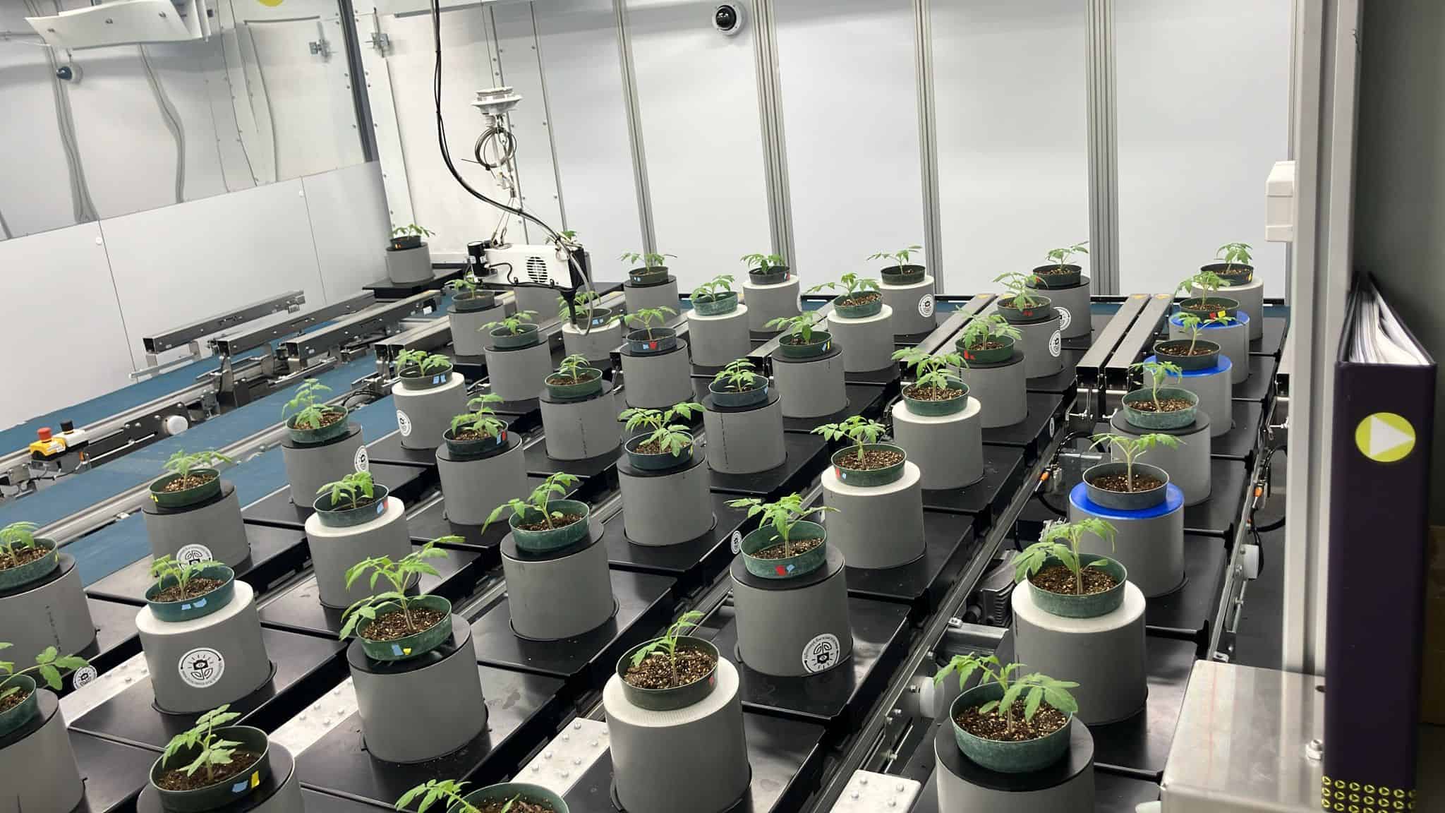 Cultivating Innovation: A Closer Look at BTI and Zymtronix’s Phenotyping Collaboration
