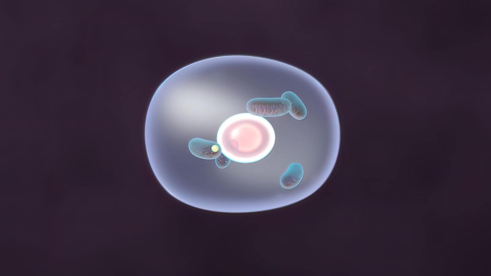 Deciphering Molecular Mysteries: New Insights into Metabolites That Control Aging and Disease