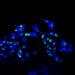 Bright blue and green fluorescent microscopy image of plant cells highlighting cell nuclei at Boyce Thompson Institute, showcasing advanced plant science research and biotechnology.