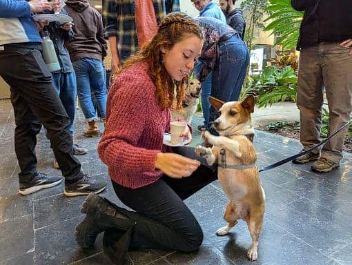 Engaging woman at Boyce Thompson Institute interacting with a playful dog during an educational event.