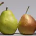 Yellow pear, green pear, red pear, and brown pear fruits on a plain background.