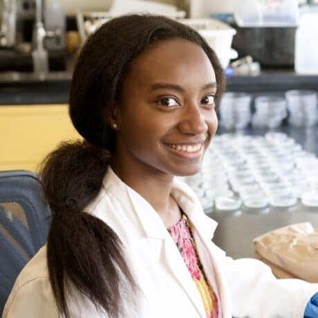 REU 2025