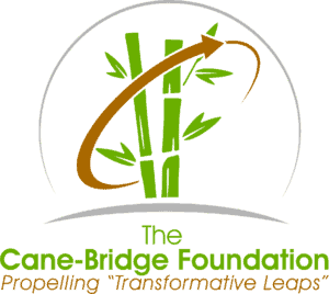 Lush green bamboo plants at Boyce Thompson Institute symbolizing plant research and botanical science research center.