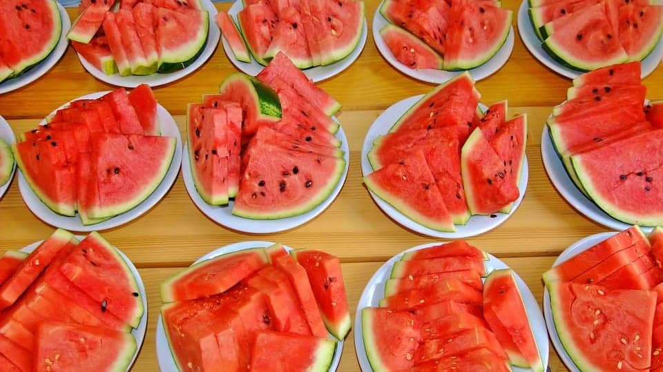 The Watermelon’s Past, Present, and Future