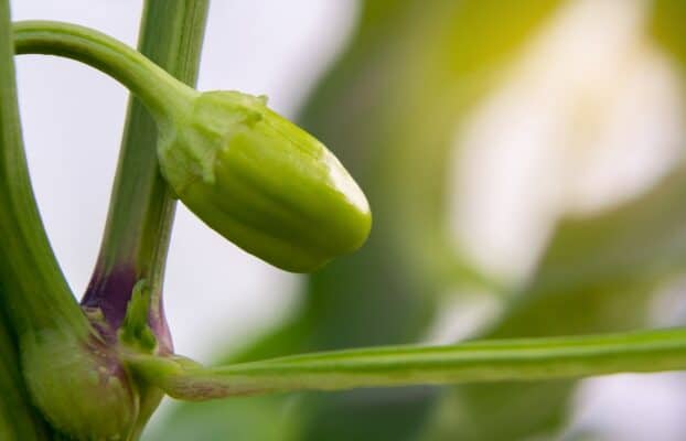 The Past Informs the Future: BTI’s Eric Richards Named a 2026 Guggenheim Fellow