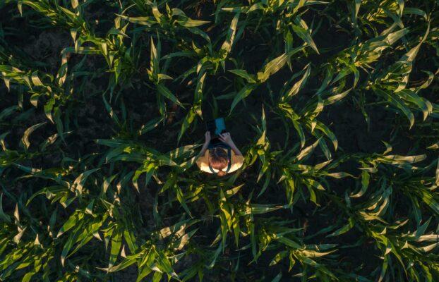 Beyond the Grant: How the Cane-Bridge Foundation Is Helping BTI Turn Discovery into Impact