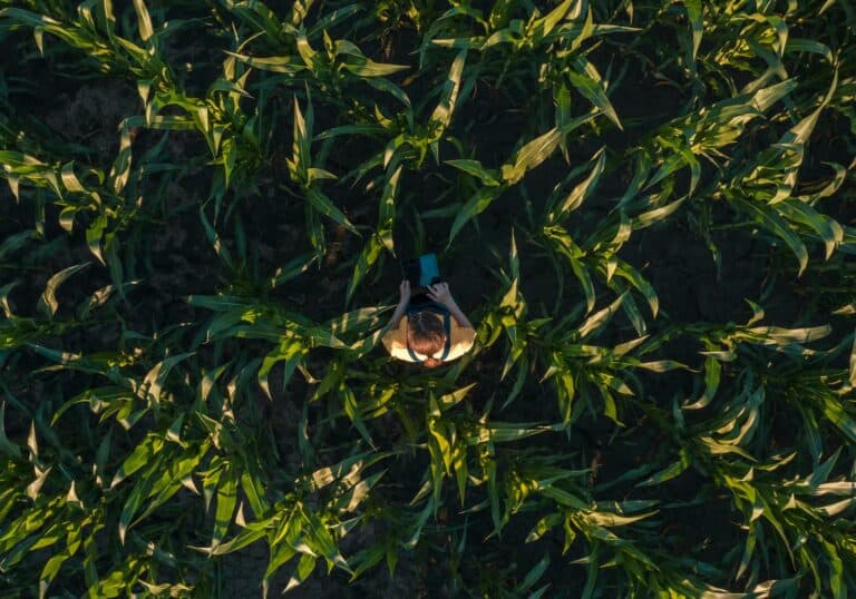 Beyond the Grant: How the Cane-Bridge Foundation Is Helping BTI Turn Discovery into Impact