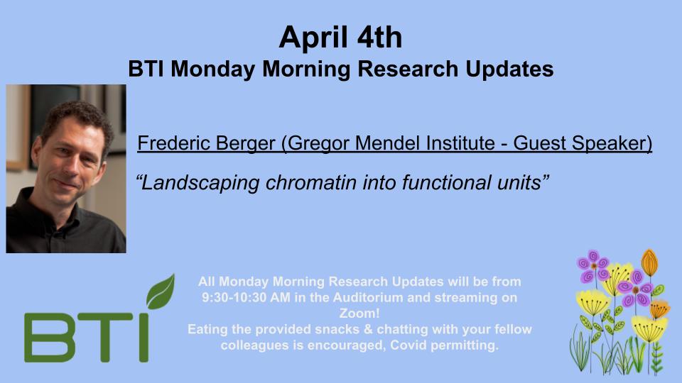 A slide that says April 4, BTI Monday Morning Research Update. Frederic Berger (Gregor Mendel Institute - Guest Speaker) "Landscaping chromatin into functional units" From 9:30am-10:30 am in the Auditorium and streaming on Zoom!