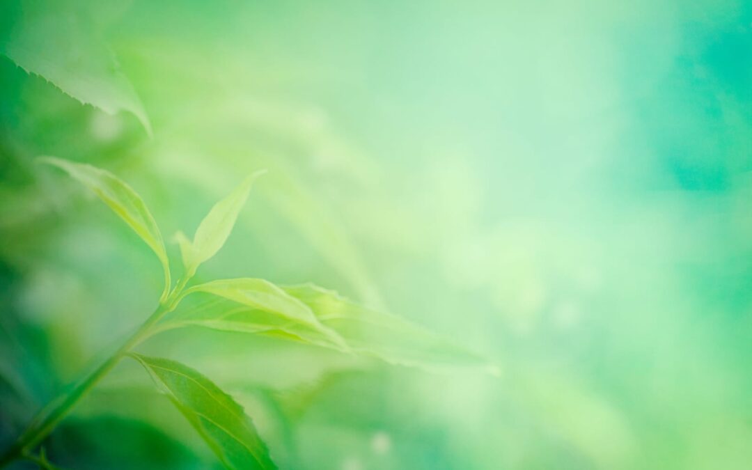 Announcing the Jane Silverthorne Postdoctoral Fellowship Program