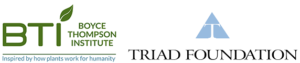 BTI and Triad Foundation Logos 