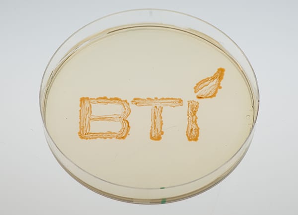 BTI logo shown in a petri dish