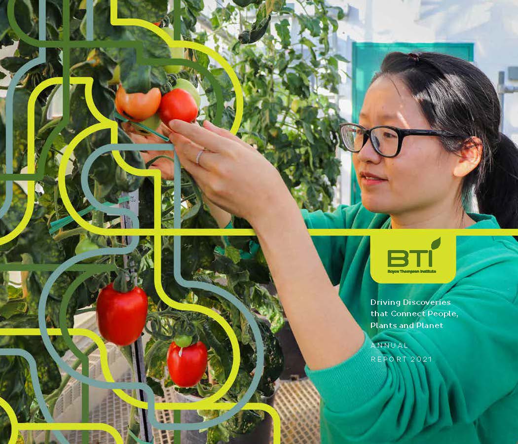 The cover of BTI's 2020 annual report. Betsy Ampofo is sitting cross-legged in a field of tomatoes. She is using tweezers to put a leaf sample into a tube. There is text at the top that says "Inspired by how plants work for humanity." There are some leaf-shaped graphics on the image, with the text "Annual Report 2020", and the BTI logo.