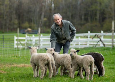 David Stern at his farm with sheep