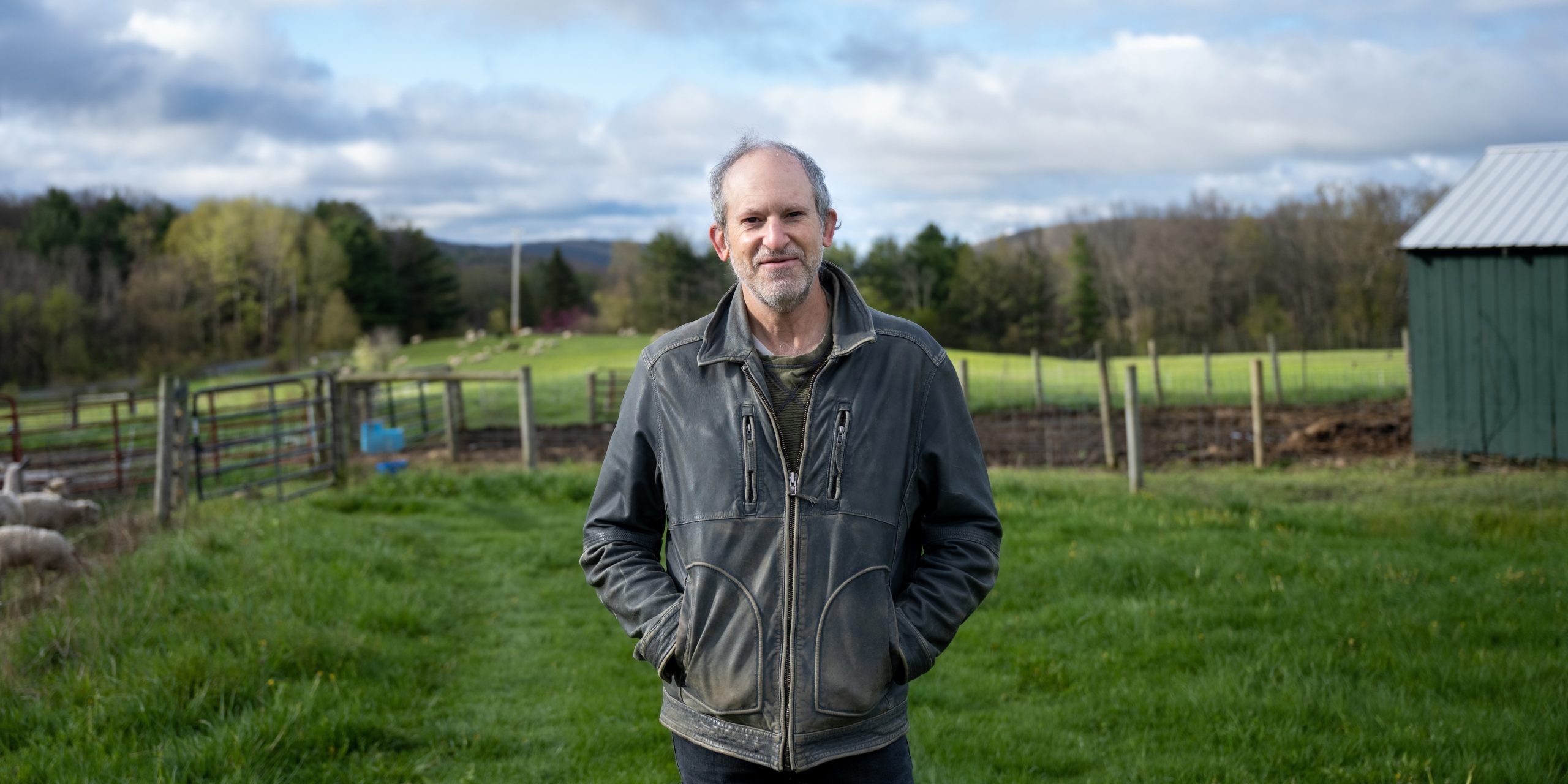 A medium shot of David Sten standing in a field on his farm. He is smiling and wearing a black leather jacket that is slightly worn. The grass is green, and there are fences in the background. On the left side of the picture, a handful of little sheep play. On the right side is a green barn with a metal roof. In the far distance are more sheep, then trees, and then hills and a cloudy sky.