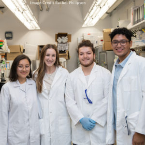 Anamaría Páez Capador, Caroline Artymowicz, Trey Ansani, and Umer Shah standing in a lab
