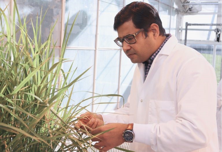 Murli Manohar checking on plants in the greenhouse 