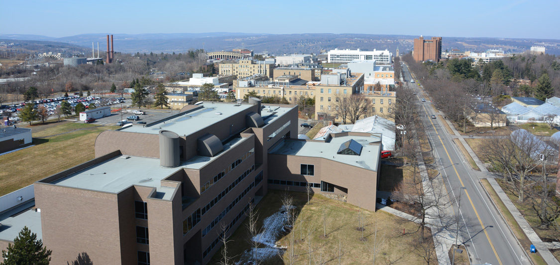 Shot from the top of a research tower, the entire Cornell campus and buildings are shown including BTI