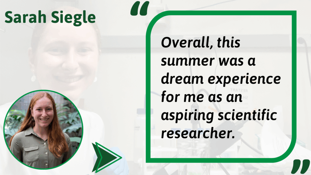 Quote graphic featuring Sarah Siegle, a summer researcher at Boyce Thompson Institute. The quote reads: “Overall, this summer was a dream experience for me as an aspiring scientific researcher.” On the left, there’s a circular portrait of Sarah smiling, with long reddish-brown hair, wearing a green button-up shirt, framed by leafy plants. The background is a faded photo of Sarah working in the lab. The design includes green quotation marks and border accents.