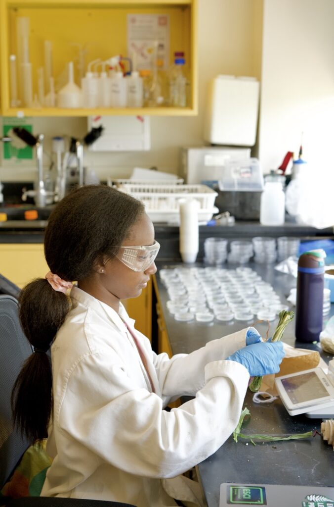 A researcher in a white lab coat, safety goggles, and blue gloves examines plant samples at a laboratory bench. A digital scale, containers, and various lab supplies are on the workspace.