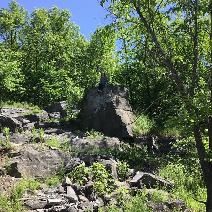 A rocky hillside with trees and grasses. In the distance is BTI summer intern Emily Humphreys sitting on a giant rock.