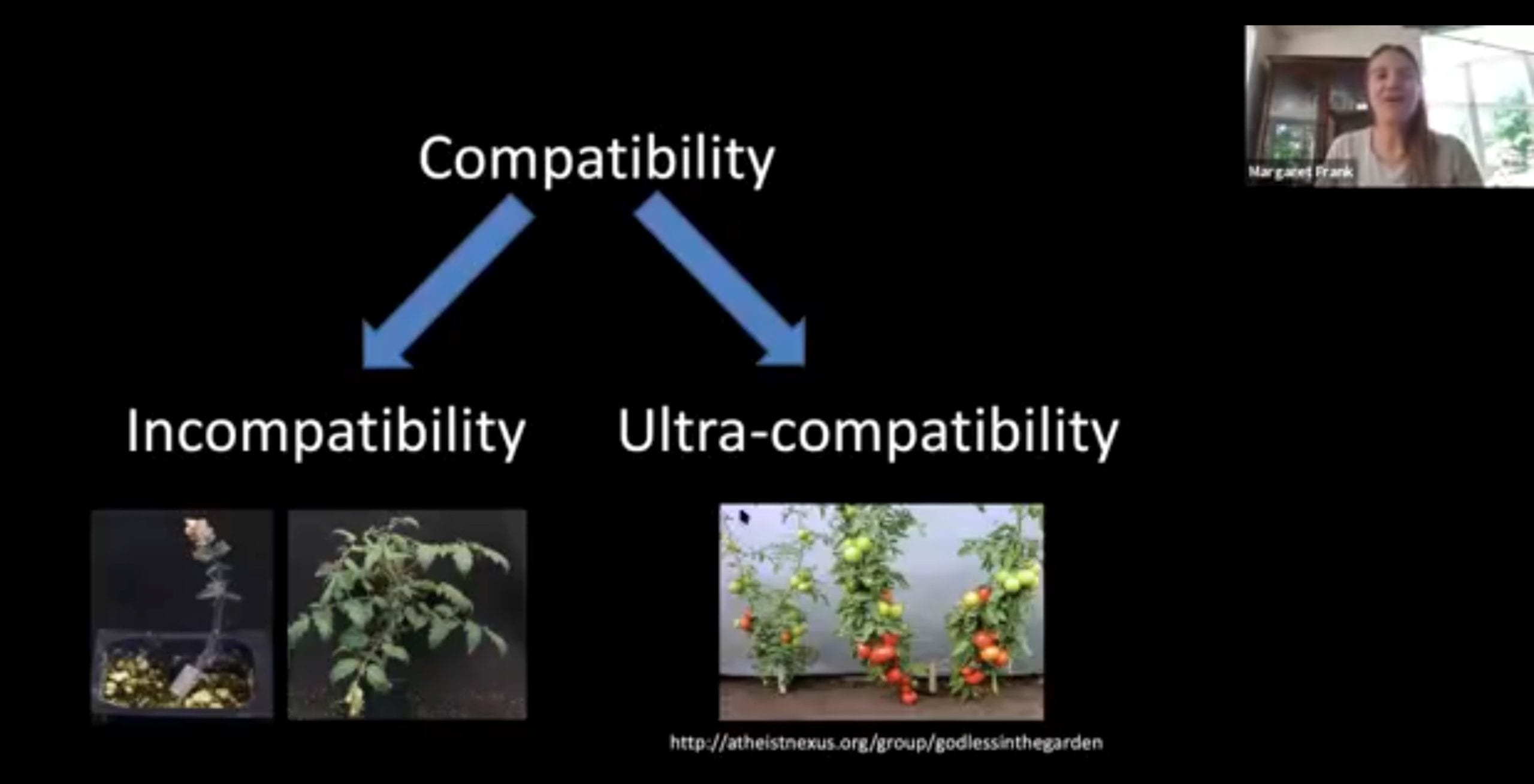 A mostly black image with the word "Compatibility" at the top, and two blue arrows pointing diagonally down. To the bottom left is the word "Incompatibility" with a picture of stunted plants. To the bottom right is the word "Ultra-compatibility" with a picture tomato plants bursting with fruit. At the top right is a medium close-up picture of Margaret Frank.