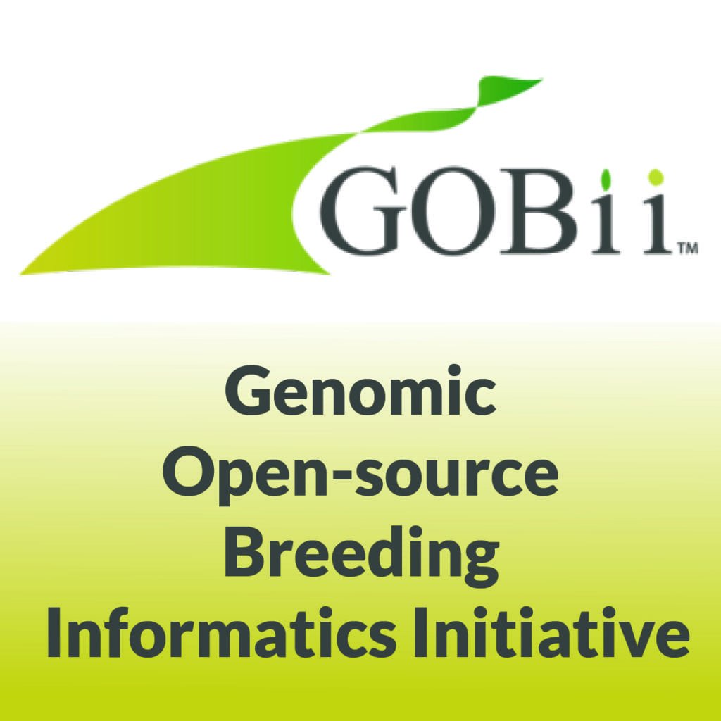 GOBii Logo