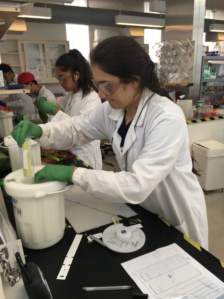 Akriti in a lab coat conducting an experimentz